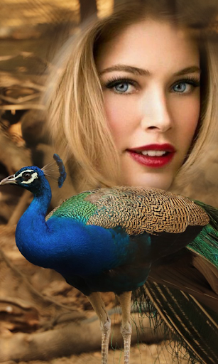 Peacock Photo Frames