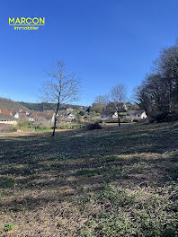 terrain à Aubusson (23)