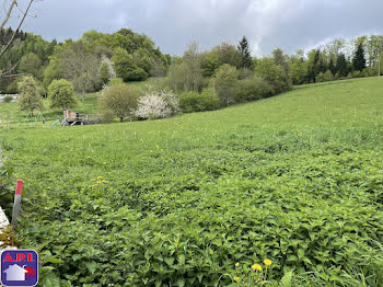 terrain à Belcaire (11)