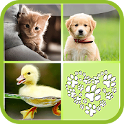 Baby Animals Matchup - Kids  Icon