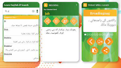 Chronological Order Meaning In Urdu