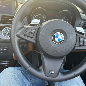 Z4 ロードスター sDrive 23i