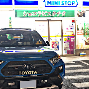 RAV4 MXAA54