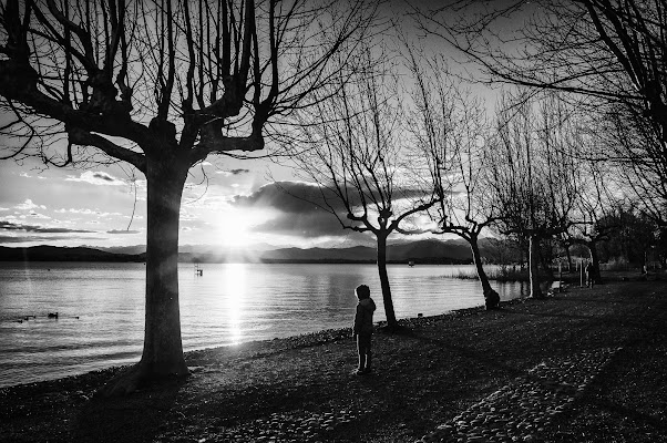 Guardando il lago di Paola Moscato