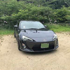 86 ZN6