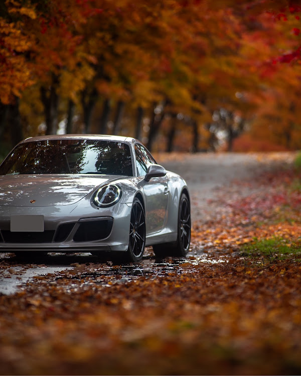 911 クーペのPorsche911・北海道・写活の秋・紅葉・discover＿ctに関するカスタム事例の投稿画像3枚目