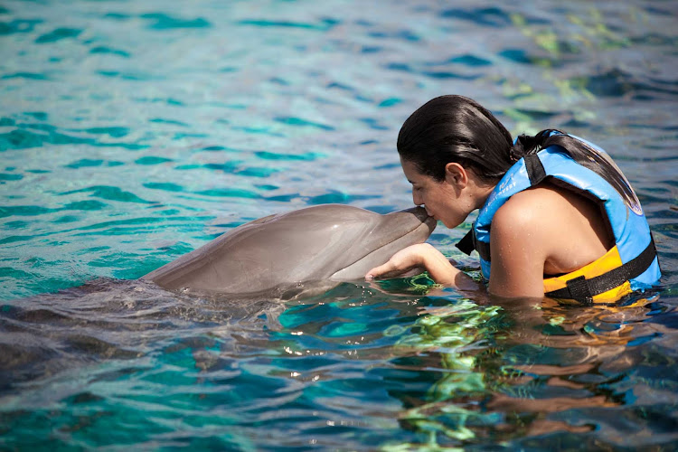 Nuzzling a dolphin in Cozumel during a “Royal Swim Shore Excursion” with Celebrity Cruises. 