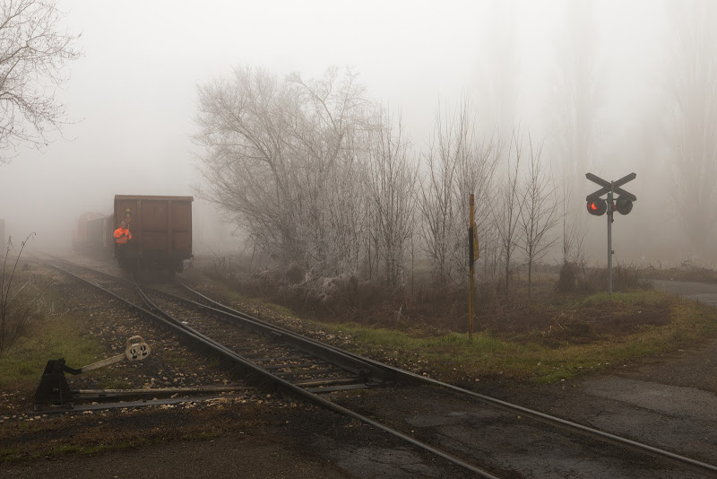 Scambi nella nebbia di Ghiz