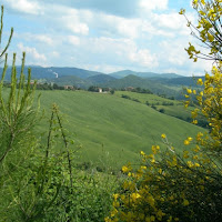 In Val di Cecina di 