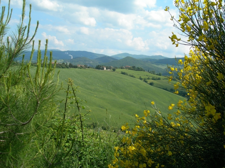 In Val di Cecina di lady oscar