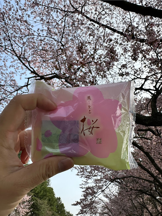 レヴォーグのPENTAX K-1MarkⅡ撮影・風景と愛車・桜と愛車・花粉症・二十間道路桜並木に関するカスタム事例の投稿画像11枚目