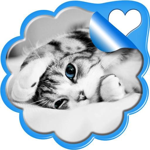 Sweet Kittens Live Wallpaper 個人化 App LOGO-APP開箱王