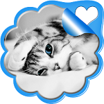 Sweet Kittens Live Wallpaper Apk