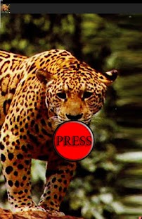 How to install Prank Rabid Jaguar 1.0 apk for android