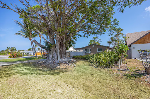 House with large tree and palm trees in this luxury property for sale in Naples ($519,000)