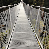 I confini? Le sponde del ponte sospeso! di 