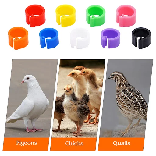 images slider number - 1