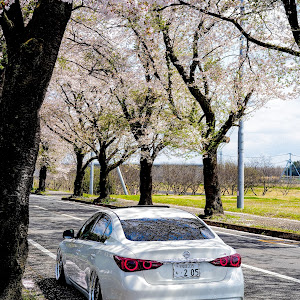 スカイライン RV37