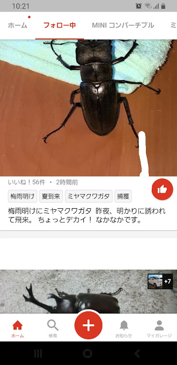 の投稿画像3枚目