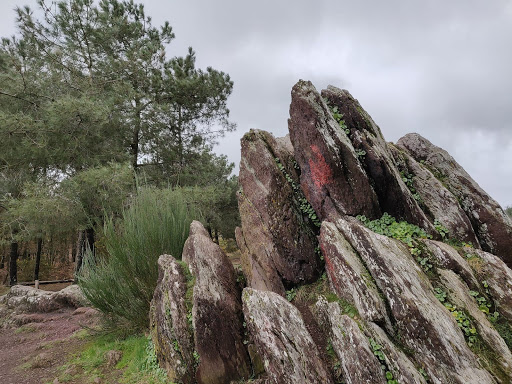 Val sans Retour Brocéliande