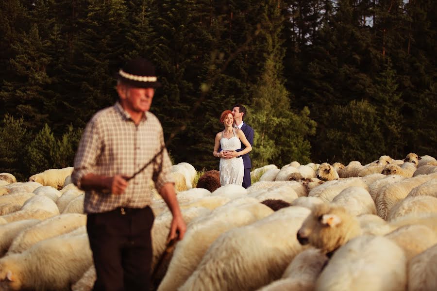 Düğün fotoğrafçısı Kamil Czernecki (czernecki). 20 Ağustos 2018 fotoları