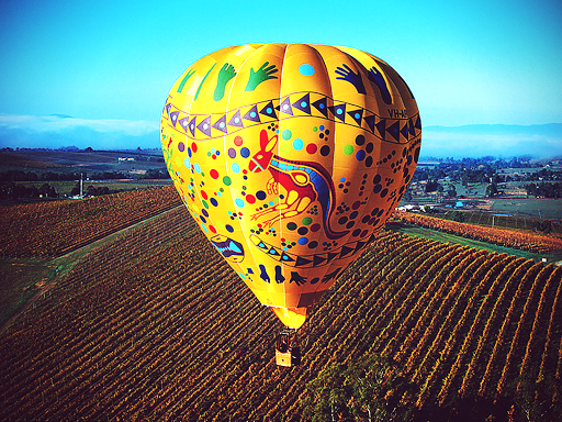 Montgolfière et vignes