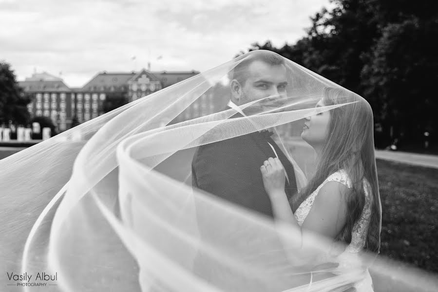 Fotografer pernikahan Vasiliy Albul (albulvasily). Foto tanggal 23 Juni 2018