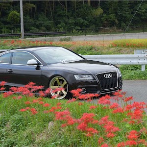 A5 クーペ