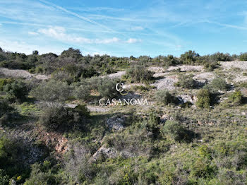 terrain à Clermont-l'herault (34)