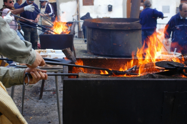 Necci a larciano PT di maremar