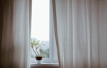 Potted plants next to the window small promo image