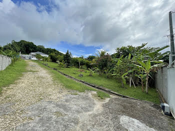 terrain à Les abymes (971)