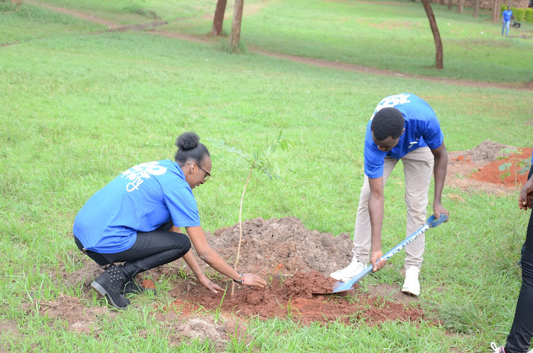 Hilton's Sheila Kimata and Victor Odhiambo plant a tree