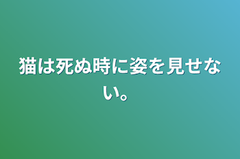 「猫は死ぬ時に姿を見せない。」のメインビジュアル