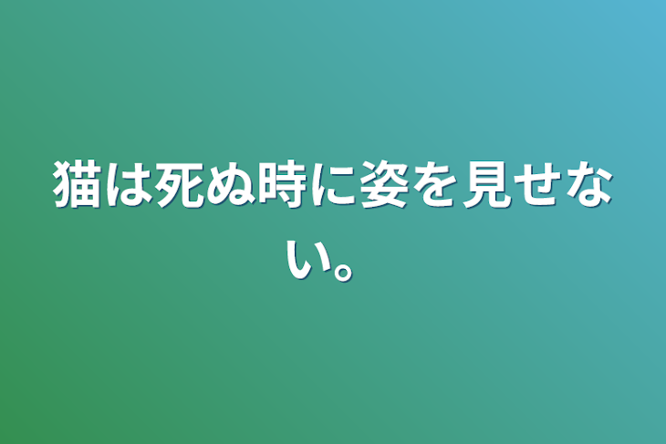 「猫は死ぬ時に姿を見せない。」のメインビジュアル