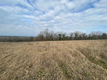 terrain à Orthez (64)