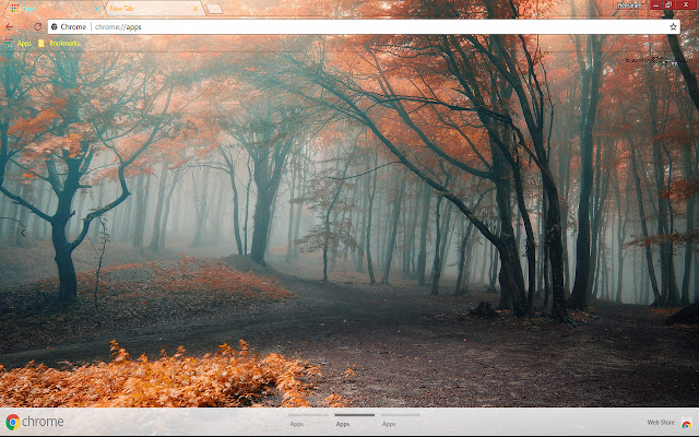 Fall  Forest chrome extension