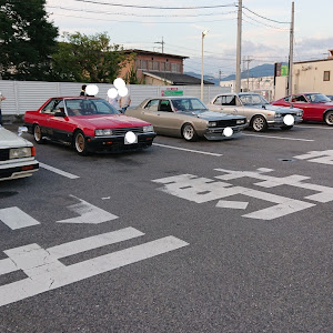 スカイライン R31