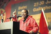 Communist party boss Blade Nzimande urged delegates at Cosatu's 5th Central Committee meeting not to abandon ANC secretary-general Gwede Mantashe. He also warned about the wholesale nationalisation being punted by the ANC Youth League Picture: ALON SKUY