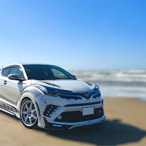 C-HR ZYX10