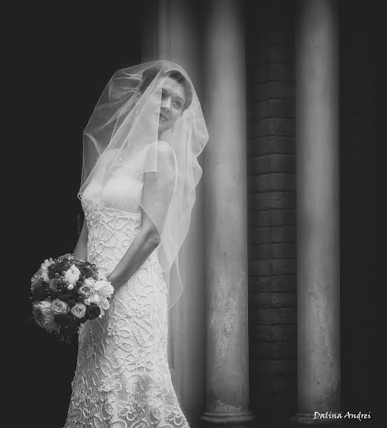 Свадебный фотограф Dalina Andrei (dalina). Фотография от 11 сентября 2017