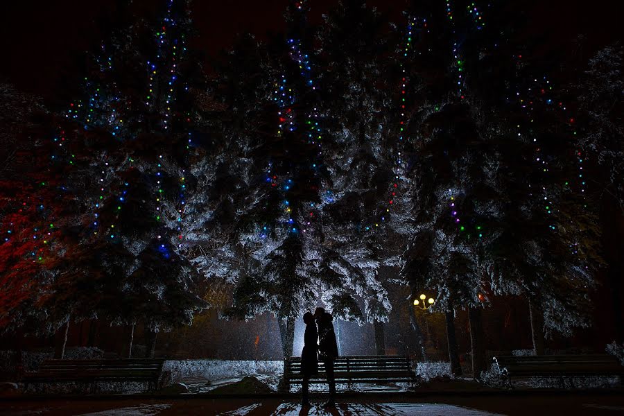 Fotógrafo de bodas Dimitriy Romanov (vishneviy). Foto del 20 de diciembre 2015