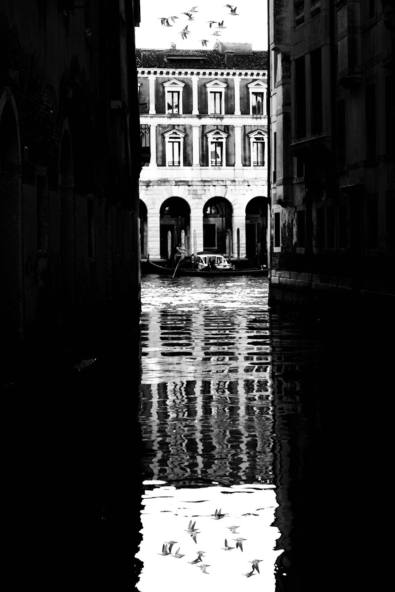 Riflessi a Venezia di Massimo Perissinotto