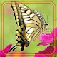 Download Summer Butterfly Live Wallpaper For PC Windows and Mac 1.0
