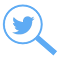 Item logo image for TweetFinder