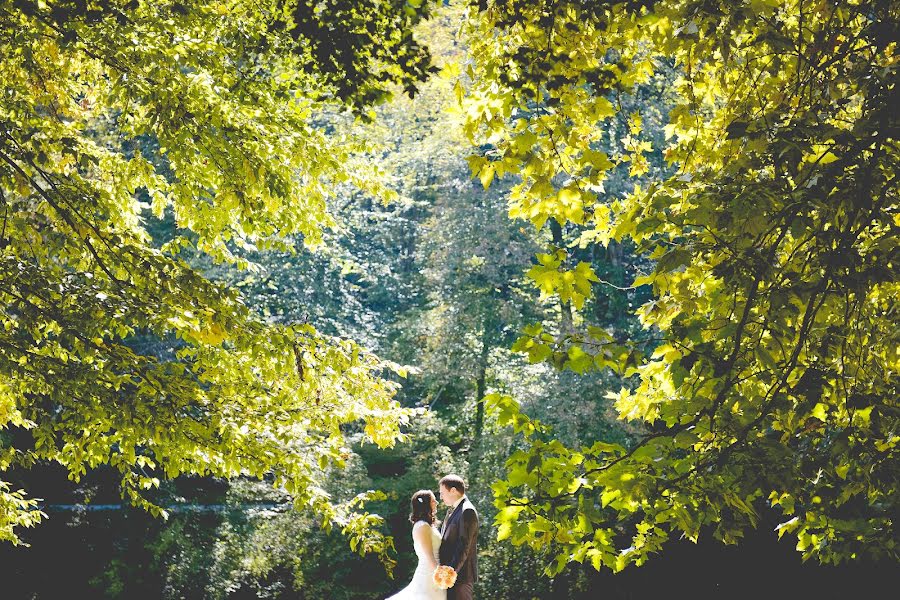 Fotógrafo de casamento Neža Plestenjak (plestenjak). Foto de 18 de março 2015