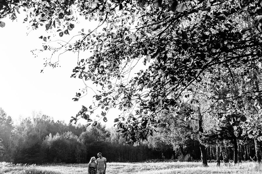 Vestuvių fotografas Stas Avramchik (stfotopro). Nuotrauka 2016 spalio 14