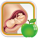 Descargar la aplicación Pregnancy Tips Diet Nutrition Instalar Más reciente APK descargador