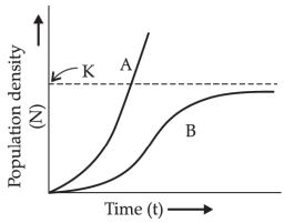 Population Growth