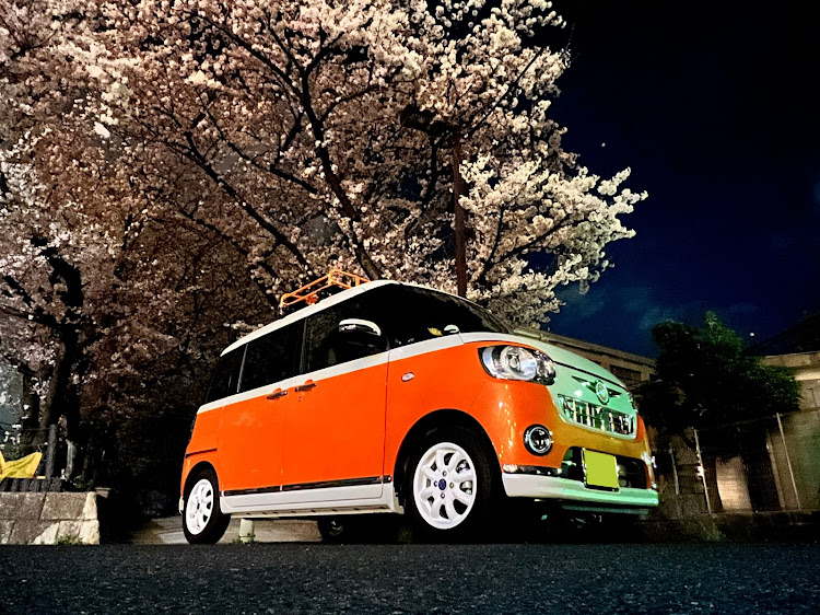 ムーヴキャンバスの夜桜お七🌸・満開の桜の下で・朝活🌸・オフ会のお土産に🍊・シマエナガ🐦に関するカスタム事例の投稿画像5枚目